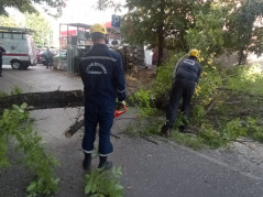 08.10.2025  спасатели Службы спасения  г. Краснодара устраняют последствия падения дерева на улице Айвазовского.